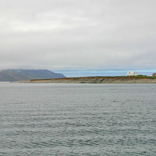 forsida-58-46acd68f54e71-1