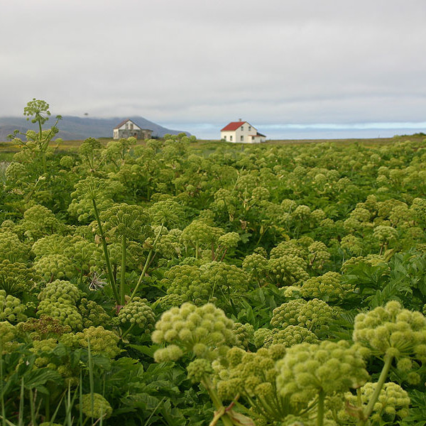 forsida-58-46acd69c76d71-1