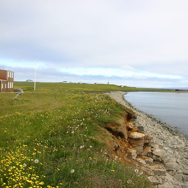 forsida-58-46acd6f7dabc8-1