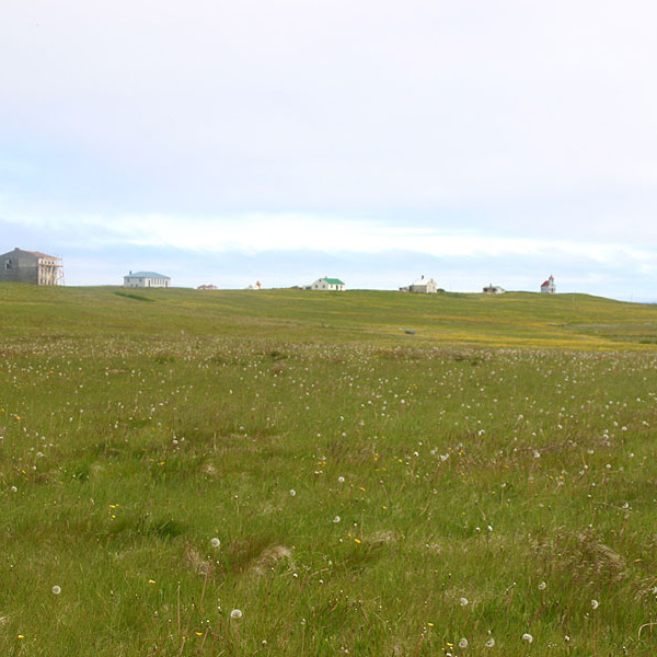 forsida-58-46acd705ccd04-1