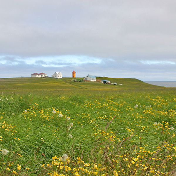 forsida-58-46acd7347cdbf-1