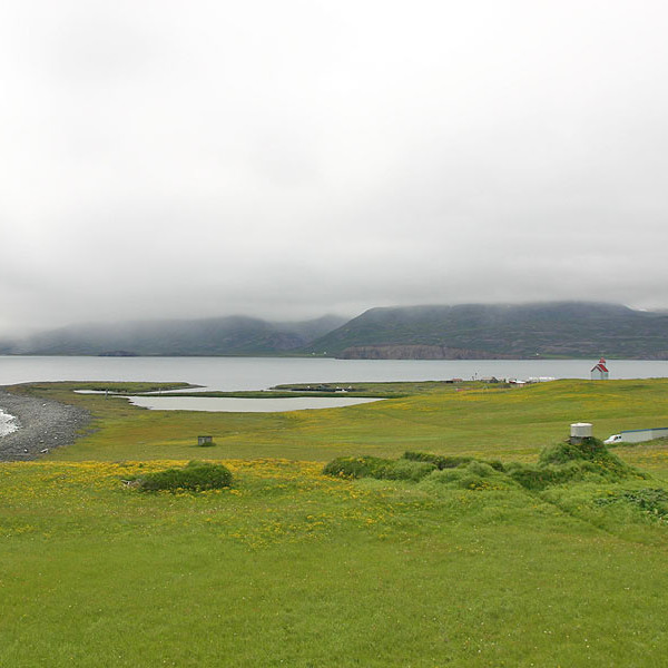 forsida-58-46acd77b382f4-1