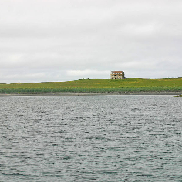 forsida-58-46acd8099c203-1