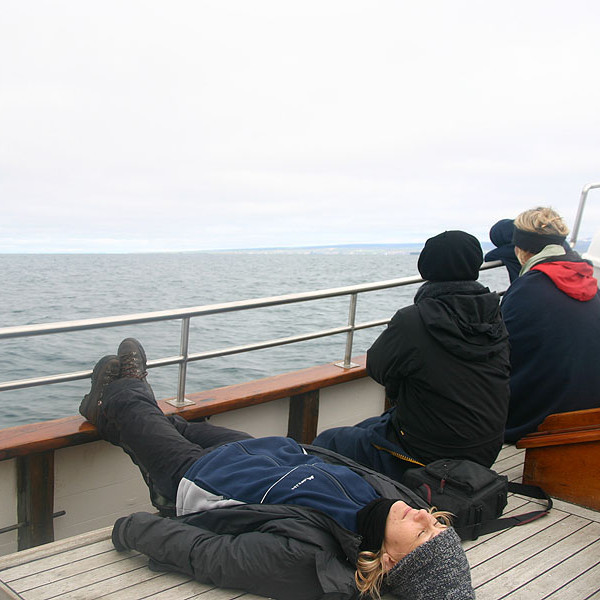 forsida-58-46acd84788709-1