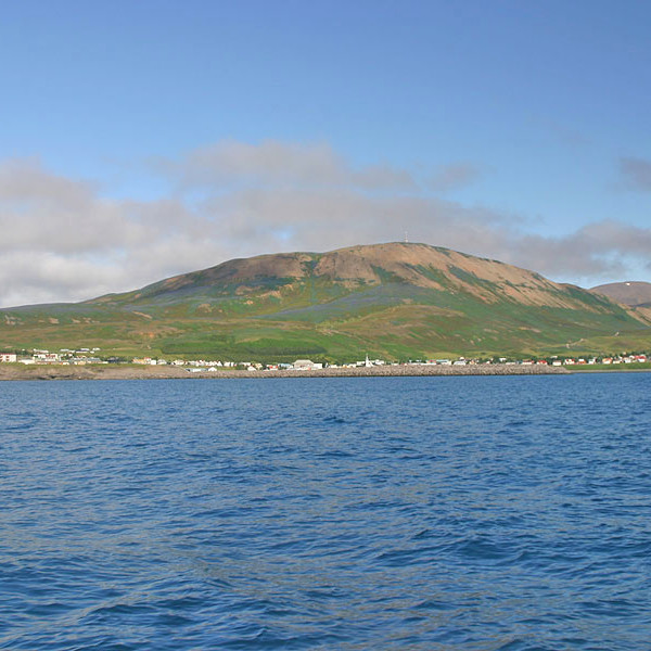 forsida-58-46acd87ce3441-1