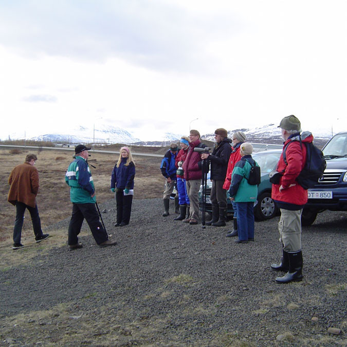 forsida-78-4831fbddd9386-1