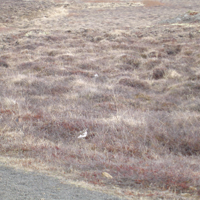 forsida-78-4831fc1206f95-1