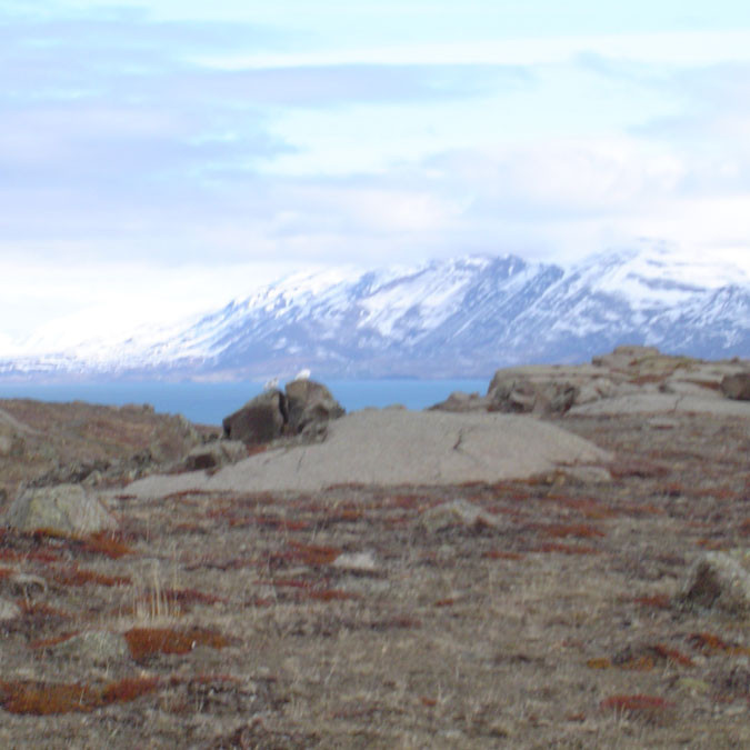 forsida-78-4831fc44dd899-1