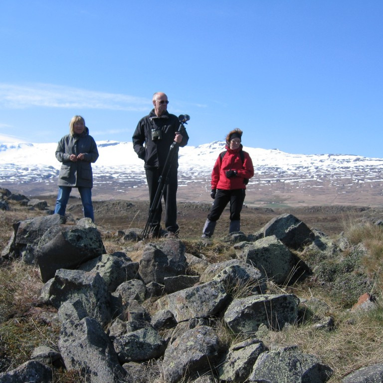 Júlla, Sverrir og Sigga Stína huga að hreiðrum.