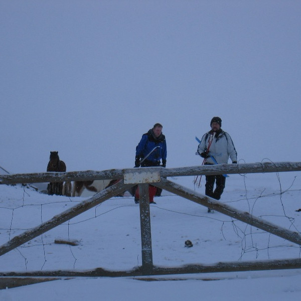 Nokkrir ferfætlingar forvitnuðust um ferðir okkar.