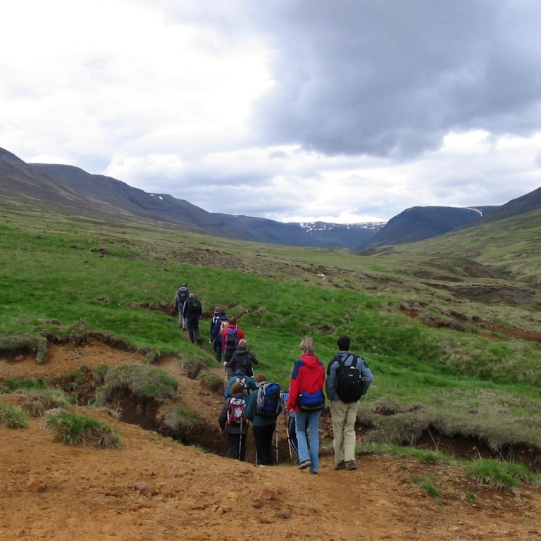 forsida-20-4480d4524f1c2-1