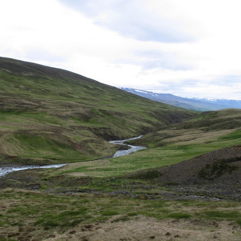 forsida-20-4481840d784bf-1