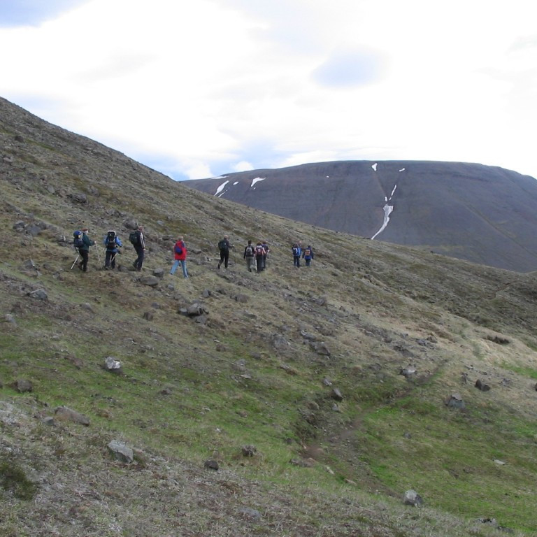 forsida-20-44847141bddbf-1