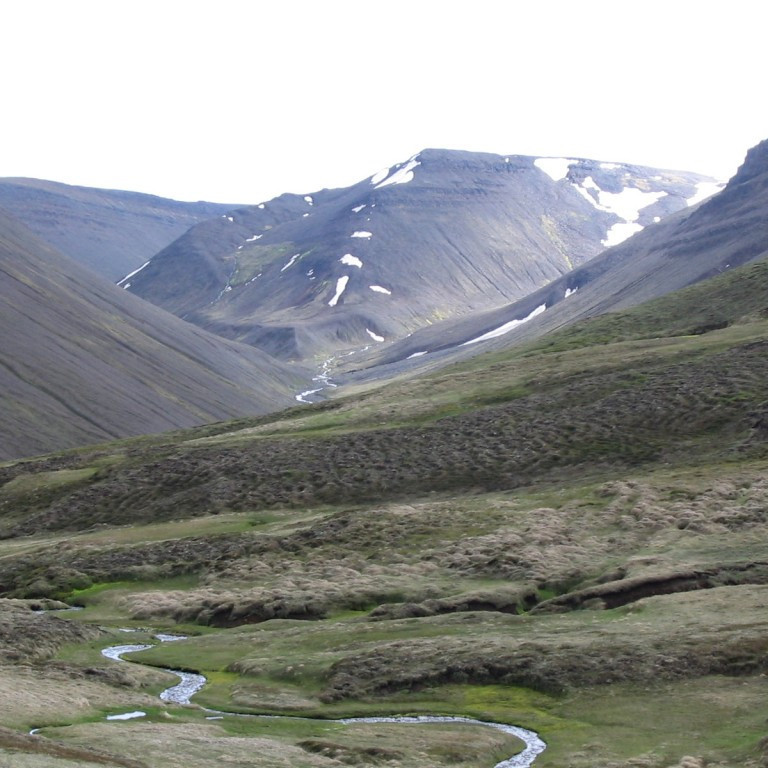 forsida-20-4484719d77b4e-1