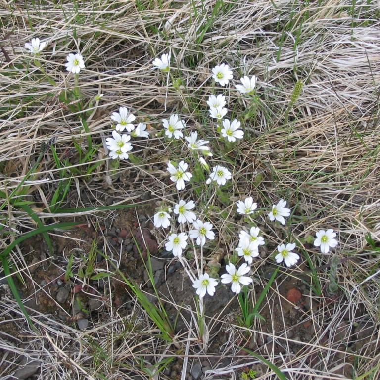 forsida-20-448472e535252-1