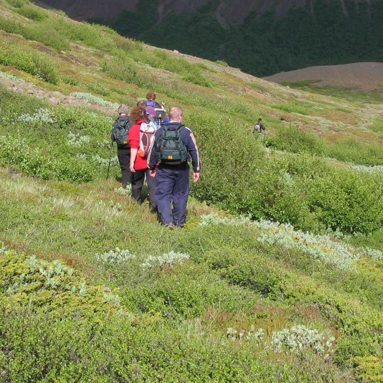 forsida-20-448476f543345-1