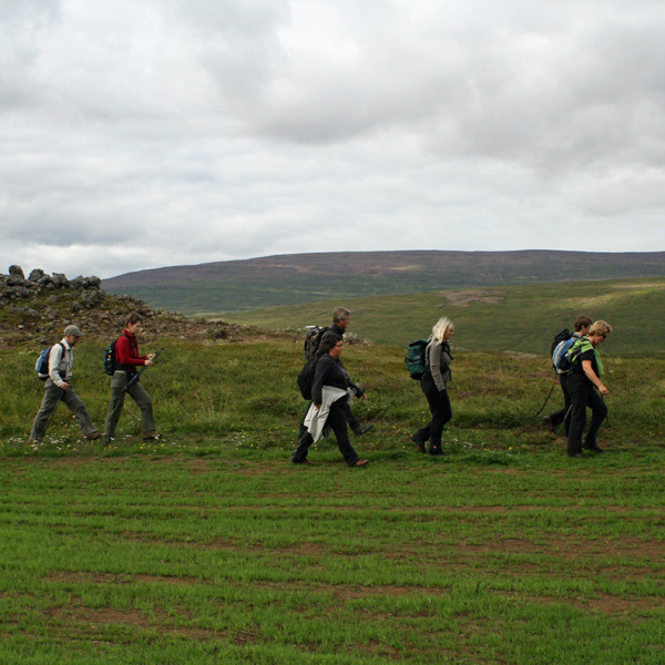 Gengið norður túnið á Fljótsbakka.
