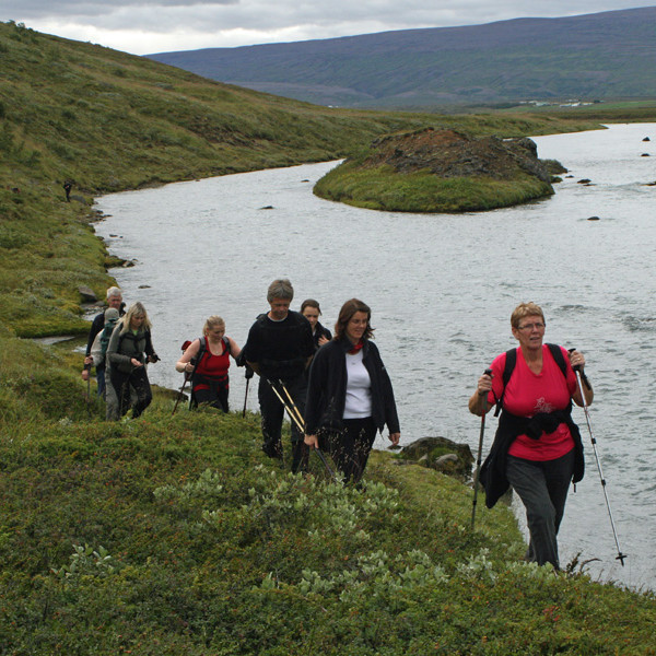 Á bakka Skjálfandafljóts syðst í Fljótshlíðarskógi.