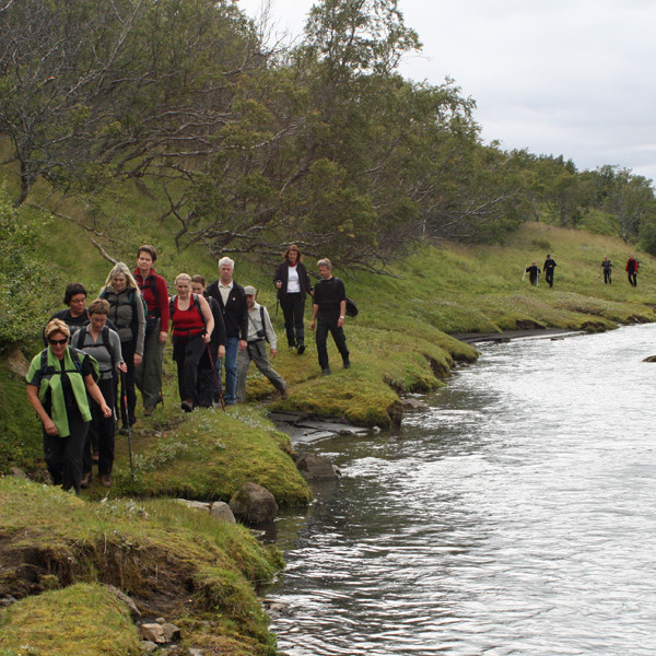 Nyrst í Fljótshlíðarskógi er gatan greið meðfram fljótinu.
