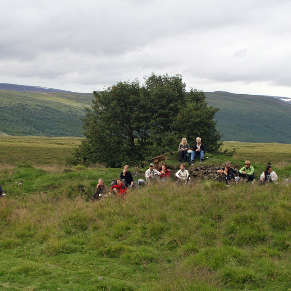 Hádegishlé við tætturnar af Glaumbæjarseli.