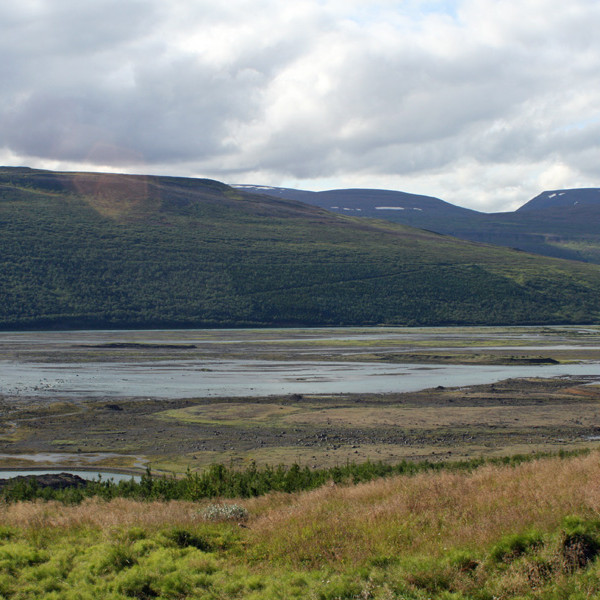 Horft frá bæjarstæðinu í Fossseli norðvestur í Fellsskóg.
