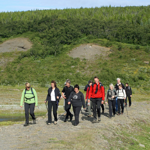 Á leið vestur með Skuldaþingseyjarkvísl að Skipapolli.