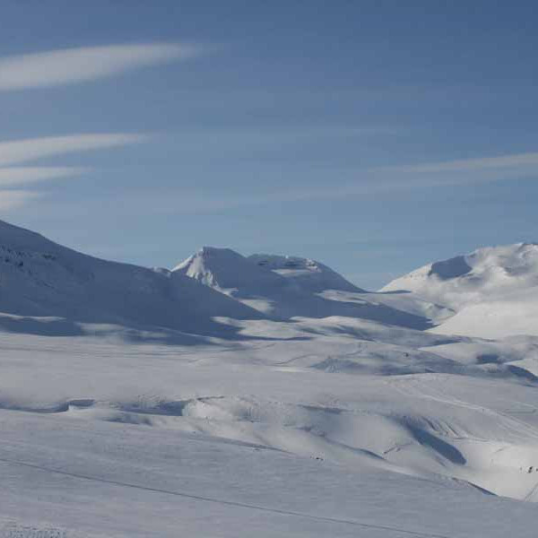 forsida-73-47f680392c5f1-1