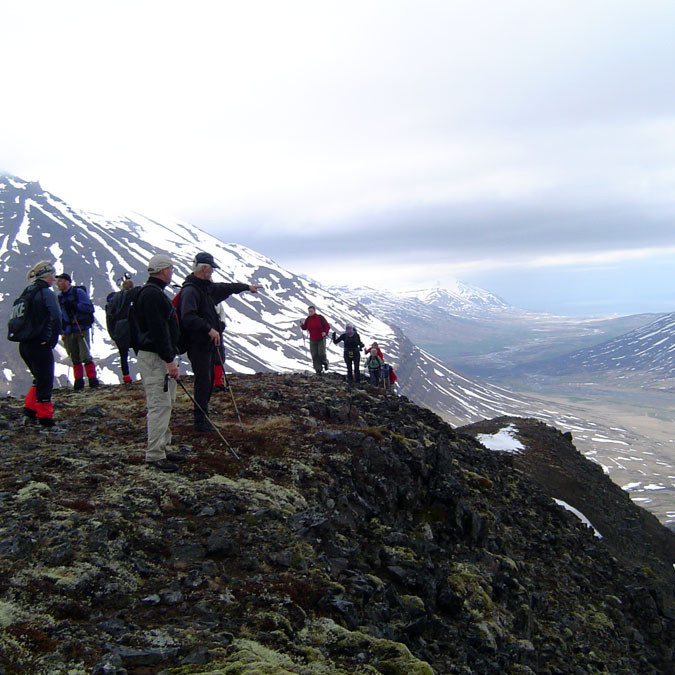 Hamrahnjúkar, Kerling