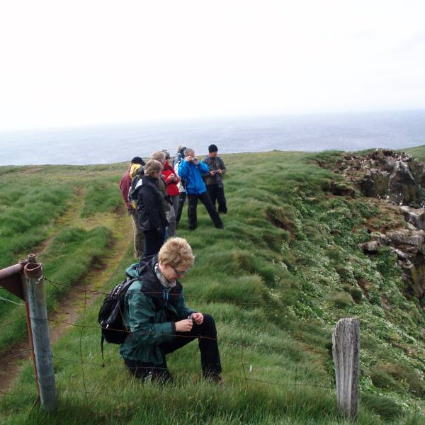 Myndað ofan í Básavík