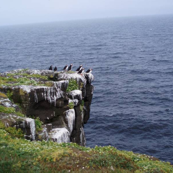 Setið á ystu brún