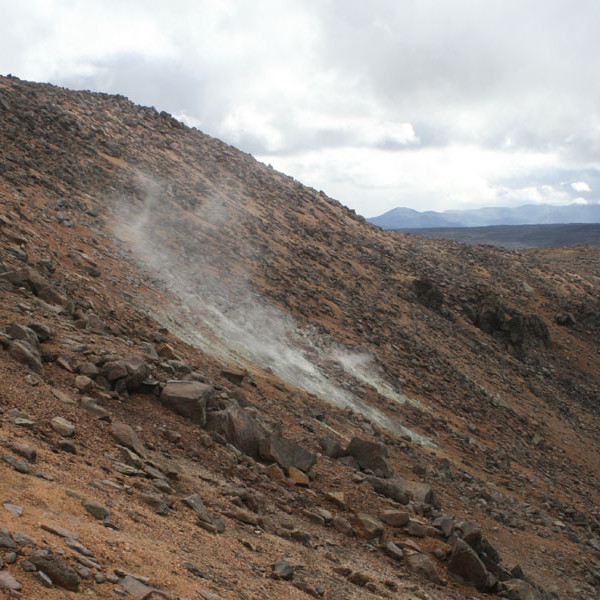 forsida-60-46cdfa1392f70-1