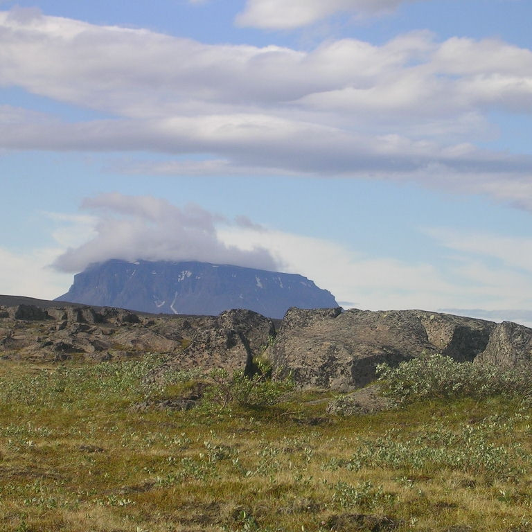 forsida-35-44f56142a2905-1