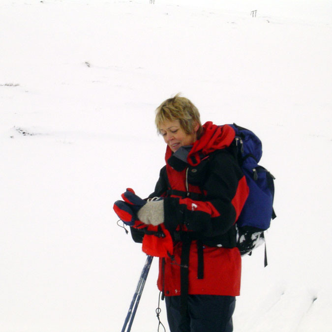 Eins gott að vera vel vetlingaður.