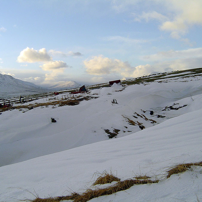 forsida-65-47afc2aee61a7-1