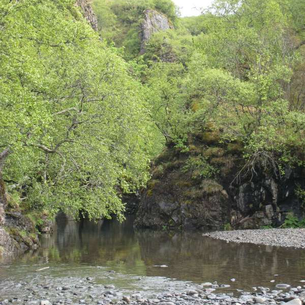 Á gönguferð í Skaftafelli.