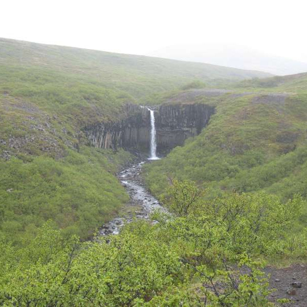 Svartifoss í Skaftafelli.