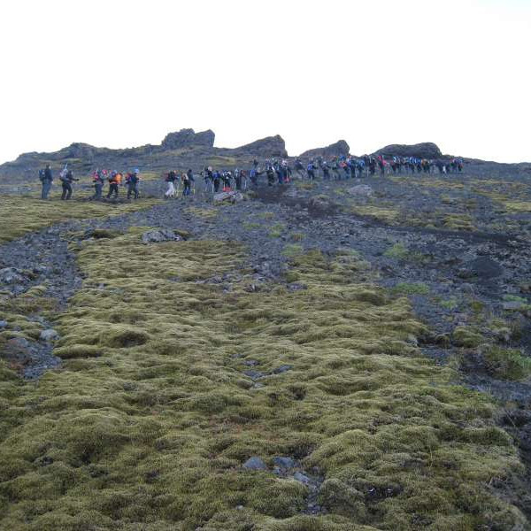 Gengið upp Sandfellsleið.