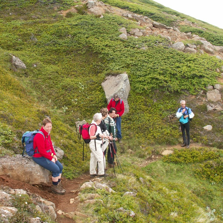 forsida-25-44bd76c2748d1-1