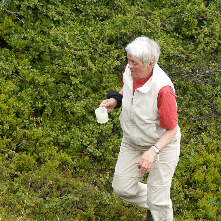 forsida-25-44bd76df82043-1