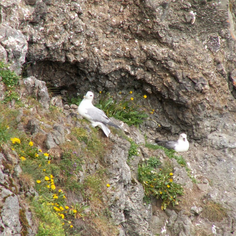 forsida-25-44bd798943d78-1