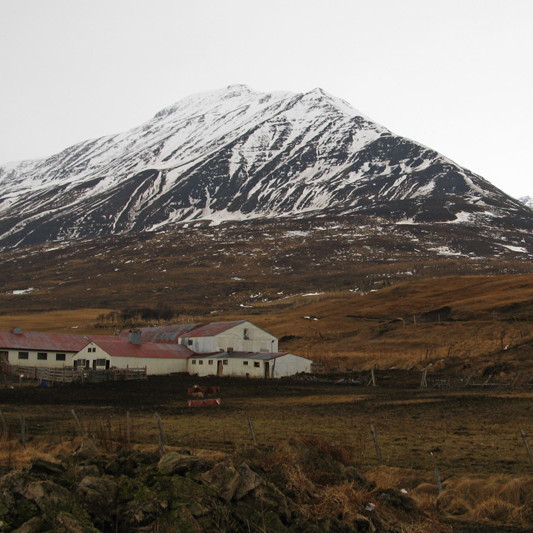 Hvassafellsfjall séð frá Miklagarði