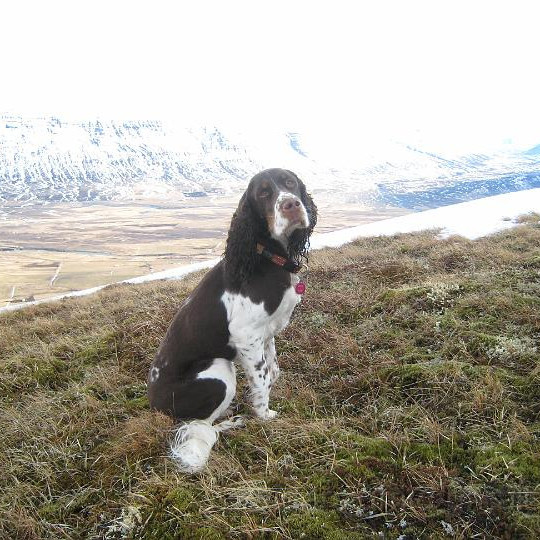 Það er ekki oft sem hún næst á mynd, en yfirleitt betra að reyna í lok ferða.
