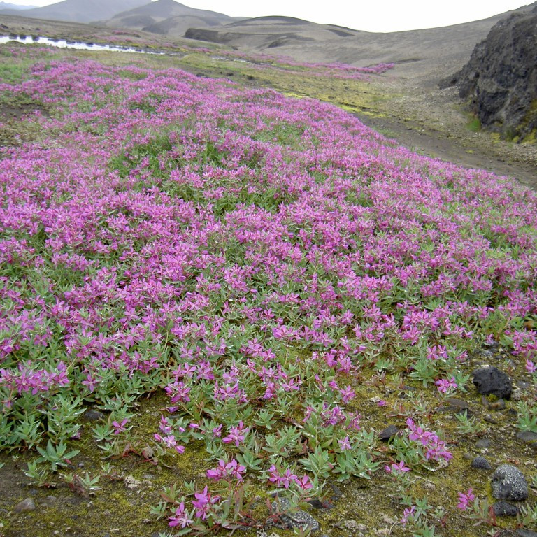 forsida-32-44e4883d220f3-1