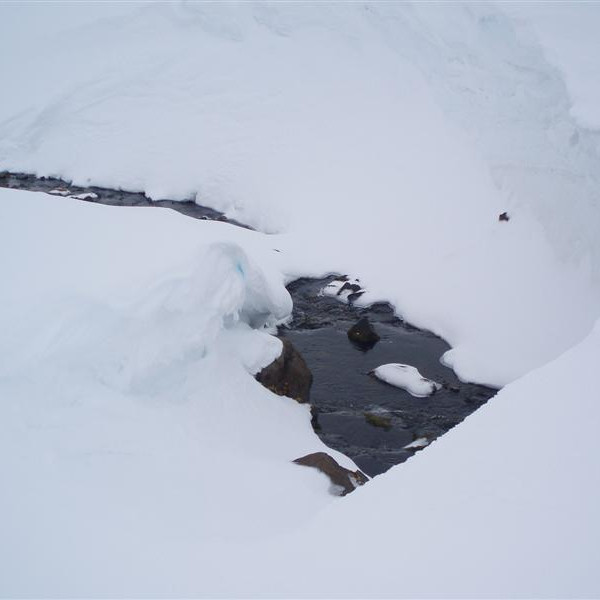Víða leynast hættur.