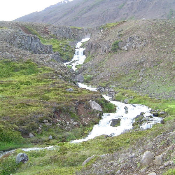 forsida-83-487379da85061.jpg