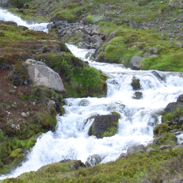 forsida-83-487379dbcef9c.jpg