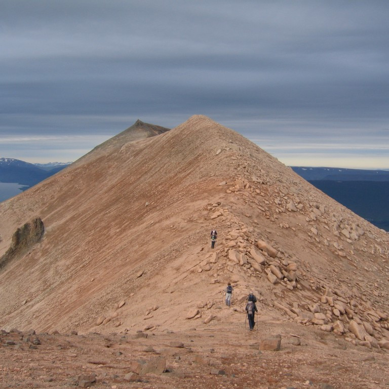 forsida-31-44e1c80025156-1