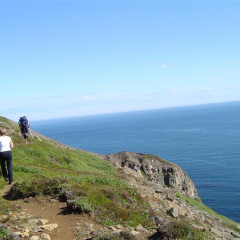 Gengið út bakkana.