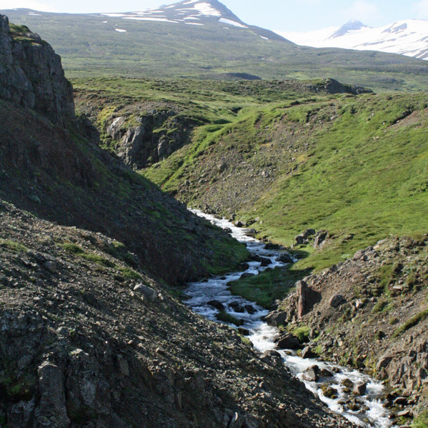 Horft upp með Krossastaðagili til fjalla.