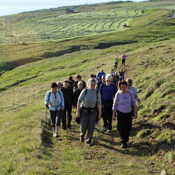 Á vegarslóða ofan túnanna á Veigastöðum.